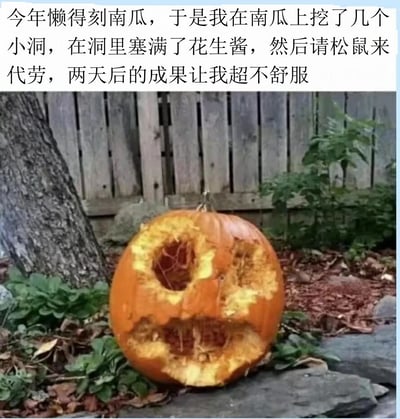 图片上方配有文字描述：'今年懒得刻南瓜，于是我在南瓜上挖了几个小洞，在洞里塞满了花生酱，然后请松鼠来代劳，两天后的成果让我超不舒服'。下方是一张实拍照片，展示了一个被啃食得面目全非的南瓜，南瓜表面有多个不规则的大洞，内部纤维外露，放置在户外的地面上，背景有树木和木质栅栏。整体内容通过幽默的方式展现了试图让松鼠'代劳'刻南瓜却导致南瓜被破坏的搞笑结果。
