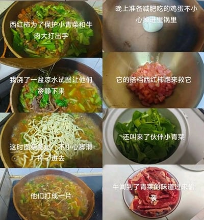这是一组由8张实拍图组成的连环图文，以拟人化的搞笑剧情，生动记录了一次减肥计划“破防”的做饭过程。原本计划只吃鸡蛋减肥，结果鸡蛋掉进锅后，西红柿、小青菜、牛肉依次“登场”，被拟人化为有互动剧情的角色：鸡蛋掉锅后西红柿来救，叫来青菜，牛肉“偷袭”，西红柿和牛肉“大打出手”，浇凉水“劝架”，最后面条“失足”掉进锅，最终变成了一锅丰盛的西红柿青菜牛肉面。每一步都搭配趣味文案，用拟人的方式调侃减肥时忍不住做丰盛食物的日常，充满生活趣味。