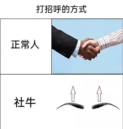 这是一张上下结构的对比静态图，主题为“打招呼的方式”。上半部分标注“正常人”，搭配两只手握手的画面，代表普通人常规、正式的社交打招呼方式；下半部分标注“社牛”，搭配一对向上挑起的眉毛，用这种夸张、极具辨识度的面部动作，来表现社牛人群不拘一格、大胆随性的打招呼方式，通过强烈的行为反差，趣味化调侃社牛人群在社交场景中的独特表现。