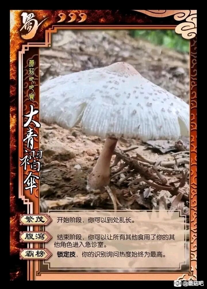 毒蘑菇