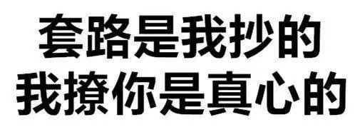 套路是我抄的 我撩你是真心的