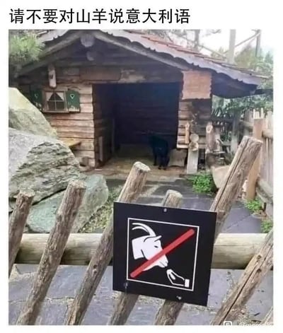 这是一张拍摄于动物园或牧场的实拍图，画面中展示了一座质朴的木质小木屋，木屋门口站着一只黑色山羊。前景的木栅栏上悬挂着一块黑色的禁止标识，标识上绘制了山羊头和做出说话动作的手，中间的红色斜杠表示禁止对着山羊说话。图片顶部配有文字“请不要对山羊说意大利语”，这是一个谐音梗，因为“意大利语”的发音和“踢了呀”相近，暗示如果对山羊说意大利语，山羊会做出踢人的行为，用趣味的方式提示游客不要随意和山羊搭话，避免被山羊攻击。整个场景充满了趣味性，将规范提示用幽默的方式呈现出来。