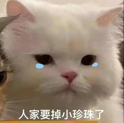 图片中是一只毛茸茸的白色猫咪特写，它有着圆溜溜的黑色大眼睛，眼睛下方被添加了两颗蓝色的泪珠特效，营造出委屈哭泣的模样。猫咪的鼻子粉嫩，嘴巴紧闭，整体表情显得无辜又可怜。图片底部配有文字“人家要掉小珍珠了”，其中“小珍珠”是网络上对眼泪的可爱化表达，让整个画面充满萌感。这张图通过真实猫咪照片结合后期添加的泪珠和文字，形成了一个生动的委屈表情包。