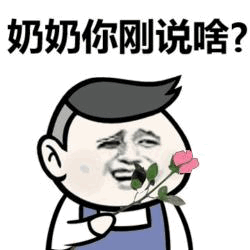 奶奶你刚说啥？拿玫瑰表情包