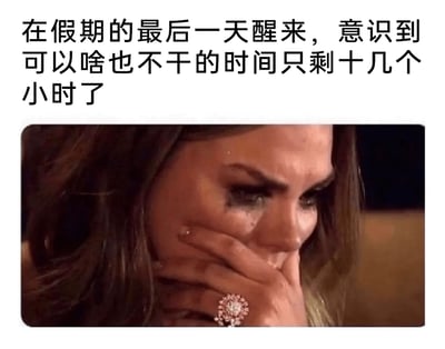 这是一张图文混排的网络创作内容，上方配有文字“在假期的最后一天醒来，意识到可以啥也不干的时间只剩十几个小时了”，下方是一张影视截图：图中一位佩戴着大尺寸钻石戒指的女性，眼妆已经晕染开，满脸泪痕，用手紧紧捂住嘴巴，神情充满悲伤与崩溃，精准地传递出人们在假期即将结束、即将回归忙碌的工作或学习生活时，那种不舍、焦虑又难过的情绪，极易引发大众的共鸣。
