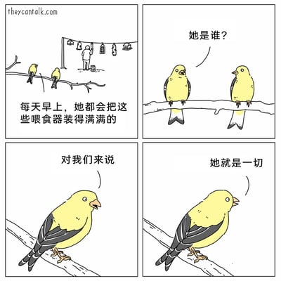 这是一幅四格连环卡通漫画，主角是两只黄黑配色的拟人化小鸟。第一格画面中，两只小鸟站在树枝上，注视着下方一位人类正在将多个悬挂的鸟喂食器装满食物，配文说明这位人类的日常行为；第二格中，其中一只小鸟露出疑惑的神情，向同伴询问这位人类的身份；第三、四格中，被询问的小鸟带着认真的语气回应，表达出在鸟儿的视角里，这位每天为它们提供食物的人类是无比重要的存在，将其视为“一切”，整体故事充满温情，展现了人类的善意在动物眼中的分量。