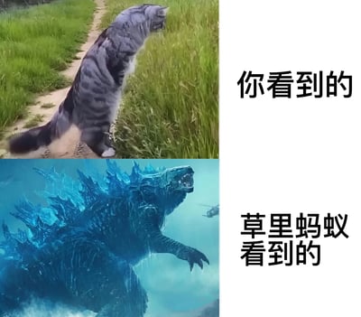 图片采用左右分栏、上下对比的构图：左侧上半部分是一只灰色虎斑猫站在小径旁的草丛边，后腿直立，前爪微微抬起，正专注地观察着草丛；左侧下半部分是电影中的哥斯拉形象，通体蓝色，背部长满尖刺，在水中张开大嘴怒吼，背景有直升机飞过。右侧对应位置分别配有文字“你看到的”和“草里蚂蚁看到的”。通过将猫咪和哥斯拉并置，幽默地展现了不同视角下对同一事物（猫咪观察草丛）的认知差异——人类眼中的普通猫咪，在草丛蚂蚁的视角里如同巨型怪兽哥斯拉般可怕。