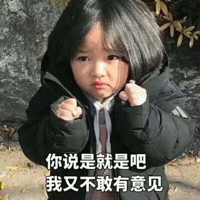 权律二无奈表情包：你说是就是吧我又不敢有意见