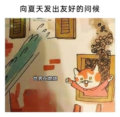 这是一张用于吐槽夏日高温的搞笑梗图，顶部配有文字“向夏天发出友好的问候”，图中是一只橘白配色的卡通猫咪，它站在冒着滚滚热气的窗口中，双臂张开举起，表情夸张，眼睛圆睁、嘴巴大张，神态既兴奋又带着抓狂感，图中配文“世界在燃烧”，用极度夸张的方式将夏日的酷热具象化，仿佛整个世界都被高温炙烤，通过幽默的情绪来表达人们在夏日面对酷暑时的烦躁与无奈，引发共鸣。