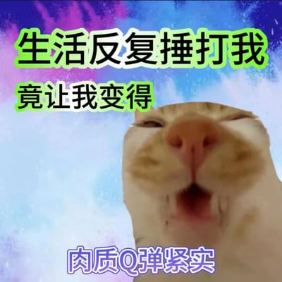 图片背景为绚丽的蓝紫色星空，中央是一只猫咪的特写脸部，猫咪嘴巴张开，表情夸张有趣。图片上方用绿色加粗文字写着“生活反复捶打我”，下方用紫色文字写着“竟让我变得肉质Q弹紧实”。整体通过幽默的比喻，将生活中的挫折调侃为让自己“肉质”变得Q弹紧实，带有自嘲和乐观的意味。