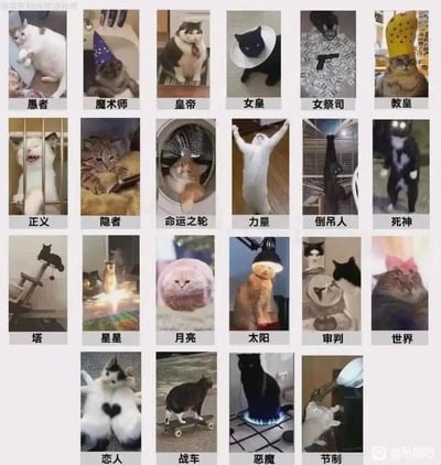 暂无描述