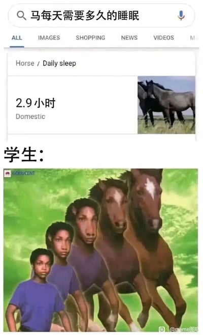 这是一张吐槽学生群体睡眠不足的搞笑梗图，上半部分是搜索引擎的结果页面，显示家马每天仅需要2.9小时的睡眠；下半部分使用了经典的“人变马”渐变合成图，将黑人男孩的形象逐渐过渡为马的形象，以此比喻学生因为学业压力导致睡眠时间严重不足，和马的睡眠时长相近，用夸张的合成画面来调侃学生的疲惫状态，引发校园群体的共鸣。