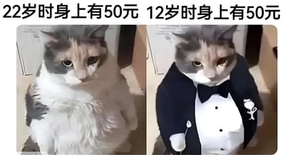这是一张对比梗图，通过同一只猫咪的两种不同状态来幽默表现年龄与金钱观的变化。左侧猫咪未穿衣服，表情忧郁，代表22岁时身上有50元的状态；右侧猫咪穿着正式西装，表情依然忧郁，代表12岁时身上有50元的状态。图片上方配有文字'22岁时身上有50元 12岁时身上有50元'，通过夸张对比展现随着年龄增长，同样金额的钱给人的感受却截然不同的社会现象。