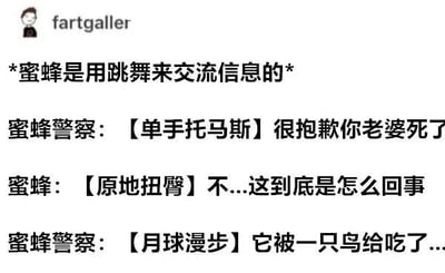 这是一张搞笑文字梗图，以蜜蜂用舞蹈交流信息的科学事实为基础，虚构了一段幽默对话。蜜蜂警察用“单手托马斯”舞步告知另一只蜜蜂其妻子不幸被鸟吃掉的消息，而受害蜜蜂则以“原地扭臀”的舞姿表达震惊与不解。通过将严肃的噩耗与滑稽的舞蹈动作结合，形成强烈反差萌，营造出黑色幽默的效果。