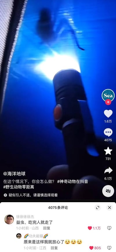 这是一张抖音平台的竖屏视频截图，画面主体是手持潜水手电筒在水下拍摄的视角，前方蓝色水域中出现一个模糊的未知海洋生物黑影，营造出惊悚的氛围。视频配文提问“在这个情况下，你会怎么做？”，并带有#神奇动物在抖音 #野生动物零距离话题标签，同时标注“疑似引人不适，请谨慎选择观看”。下方评论区中，用户“徐徐徐徐杰”的评论“益虫、吃完人就走了”获得1.1万点赞成为热评，另有用户回复“原来是这样我就放心了😱😱😱”，用反讽的玩梗方式将原本惊悚的场景转化为搞笑的整活内容，形成强烈的反差感。