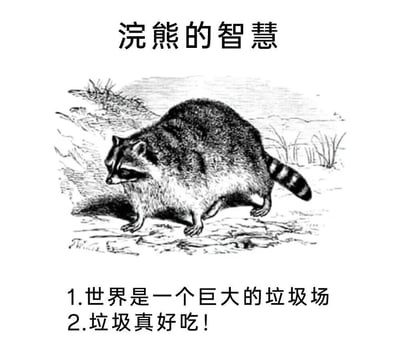 图片上方为标题'浣熊的智慧'，中间是一幅黑白复古风格的浣熊插画，浣熊低头嗅闻地面，背景有简单的草丛和地面纹理。下方配有两行文字：'1.世界是一个巨大的垃圾场 2.垃圾真好吃！'，通过拟人化的方式调侃浣熊喜食垃圾的习性，以幽默讽刺的口吻表达一种豁达的生活态度。