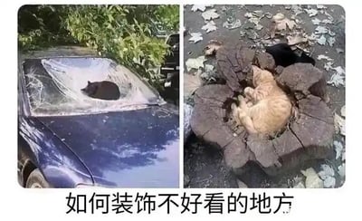 这是一张左右拼接的对比图，左侧呈现的是一辆蓝色汽车的挡风玻璃破损出一个不规则大洞，一只黑猫恰好趴在这个破洞位置，仿佛将这个破损处“填补”；右侧则是一个树桩的中心有凹陷空洞，一只橘猫惬意地蜷缩在空洞中，完美契合空洞的形状。图片下方配有文字“如何装饰不好看的地方”，以幽默的视角将猫咪刚好处于这些有瑕疵、不美观的位置的巧合，调侃为对这些地方的“装饰”，借助宠物的可爱感消解场景的缺憾，营造出轻松搞笑的氛围。