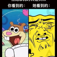 海绵宝宝