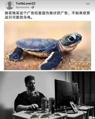 这是一张多图拼接的趣味网络梗图，上半部分是海外社交平台的付费广告界面，用户TurtleLover23标注了“Sponsored”（赞助广告），配文表示自己因讨厌广告，特意花钱购买广告位来展示一张趴在沙地上的软萌小海龟照片，用反套路的行为调侃常规广告；下半部分是黑白风格的GigaChad（肌肉猛男）梗图，图中硬朗的男性坐在电脑前，其桌面被添加了三只小海龟，与上半部分的海龟元素形成呼应，整体通过反套路的广告创意和反差感的画面组合，制造出轻松有趣的笑点，既表达了对广告的调侃，也传递出分享可爱动物的趣味。