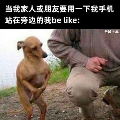 这是一张图文结合的搞笑梗图，上方的文字点明场景：当家人或朋友借用自己的手机，自己站在一旁时的状态。下方的图片中，一只浅棕色的细犬将前爪抱在胸前，身体紧绷，眼神警惕地看向一侧，旁边有一个穿着休闲装蹲着的人。这张图通过拟人化的方式，用狗狗戒备、局促的姿态，精准地还原了很多人在这种场景下的真实心态——既担心手机里的隐私被看到，又碍于情面不好直接阻止，只能紧张地在一旁盯着，引发观者的强烈共鸣。