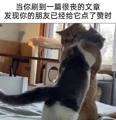 这是一张贴合当代年轻人社交情绪的宠物梗图，上方配文“当你刷到一篇很丧的文章，发现你的朋友已经给它点了赞时”，图中一只灰白猫咪紧紧抱住橘白猫咪，橘白猫咪手臂抬起，神态茫然，这个场景生动地还原了刷到丧系内容时，意外发现朋友也点赞了，像是当场抓住对方“emo小秘密”的那种又好笑又共情的瞬间，精准戳中年轻人在社交平台上的情绪共鸣点。