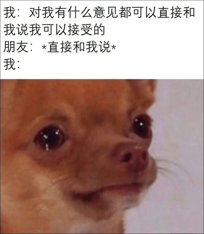 这是一张图文结合的梗图，上方文字描述了一个真实的日常场景：自己嘴上逞强表示“对我有什么意见都可以直接和我说我可以接受的”，当朋友真的直接提出意见后，自己的反应却是像下方图中的吉娃娃一样，眼眶含泪、委屈巴巴的样子，精准戳中了很多人嘴上逞强、内心脆弱的真实状态，搞笑又共情。图中没有双关、谐音梗或暗示内容。