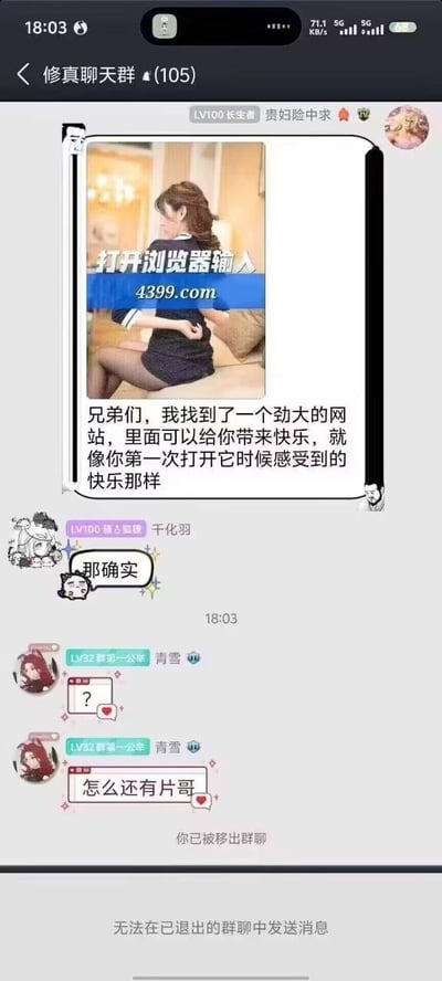 这是一张竖版的手机端聊天群界面截图，所属群聊名称为“修真聊天群（105）”。群内等级LV100、昵称为“贵妇险中求”的用户发布了一条配有穿着性感的女性侧身坐沙发的图片的消息，图片上叠加文字“打开浏览器输入4399.com”，下方配文称找到了一个“劲大的网站”，能带来和第一次打开时一样的快乐。随后等级LV100的用户“千化羽”回复“那确实”，等级LV32的用户“青雪”先发送问号表情，接着发问“怎么还有片哥”，随即发布该截图的用户就被系统移出群聊，界面底部显示“无法在已退出的群聊中发送消息”的提示。整张图的笑点在于4399是很多人童年接触的小游戏网站，发布者用有涉黄暗示的配图配合文案玩梗，被其他群成员误认为是发布不良网站的“片哥”，最终导致发布者被踢出群聊，形成反差笑点。