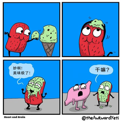 这是《心与脑》系列的四格卡通漫画：第一格中，红色的拟人化大脑角色拿着一小块薄荷巧克力冰淇淋，面前摆着一大份同款冰淇淋，看起来很开心；第二格，大脑将整份冰淇淋扣在了自己的头上；第三格，大脑浑身沾满冰淇淋，一脸陶醉地张开手臂，喊着“妙啊！美味极了！”；第四格，粉色的拟人化心脏角色一脸震惊地看着大脑，大脑则惊慌失措地站在原地，脚下还掉了一小块冰淇淋，心脏开口质问“干嘛？”。漫画通过大脑的迷惑行为和心脏的震惊反应制造幽默，展现了感性与理性的反差。