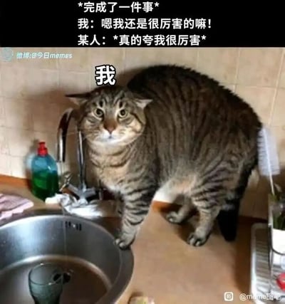 这是一张结合视觉错位效果的搞笑梗图，图中狸花猫的头部和前爪与旁边的清洁刷形成视觉错觉，看起来像是一只拥有巨大身体的猫咪。图中文字描述了一个极具共鸣的日常尴尬场景：当自己完成一件事后，下意识自我感慨“嗯我还是很厉害的嘛”，却被身边的人误解为是在夸赞自己，对方回应“*真的夸我很厉害*”，此时猫咪那一脸错愕、呆滞的表情，完美还原了当事人被误解后瞬间尴尬、不知所措的心情，将这种社死的情绪通过生动的视觉画面表现出来，十分搞笑且贴近生活。