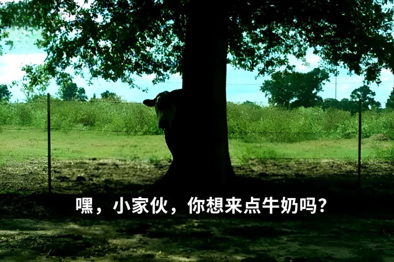 牛