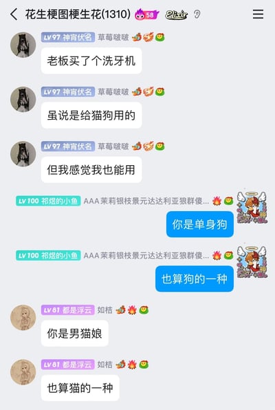 这是一张竖屏的QQ群聊截图，群名称为“花生梗图梗生花(1310)”。群成员“LV97 神宵伏名”首先发言，分享老板购置了一台给猫狗使用的洗牙机，同时表示自己也可以使用该洗牙机；随后“LV100 祁煜的小鱼”抓住话题玩梗，调侃对方是“单身狗”，属于狗的一种，契合洗牙机的适用对象；紧接着“LV81 都是浮云”继续延伸玩梗，称对方是“男猫娘”，属于猫的一种，进一步呼应洗牙机的猫狗适用属性。整个对话过程充满趣味性，是群友间日常的轻松玩梗互动。