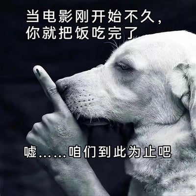 这是一张经过图像合成的视觉错位搞笑表情包，画面将人的手与狗狗的身体巧妙结合，营造出狗狗自己做出噤声手势的错觉，狗狗表情平静略带无奈。配文精准描述了日常观影时的尴尬场景：电影刚开场不久，搭配的食物就已经吃完，随后用“嘘……咱们到此为止吧”的自嘲式台词，生动表现出此时没食物可吃、只能无聊观影的无奈心态，用拟人化的画面传递出那种想终止尴尬却又不得不继续的心情，十分贴合普通人的日常小窘境。