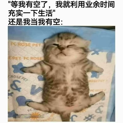 这是一张调侃当代人生活状态的表情包，采用上方配文下方配图的结构，顶部文字先写出很多人常有的规划：等有空了就利用业余时间充实生活，随后承接“还是我当我有空：”引出下方配图；配图是一只虎斑小猫四仰八叉地平躺在印有“FC ROSE PET”字样的宠物垫上，四肢完全舒展，双眼紧闭，一副慵懒放松、只想瘫着不想动弹的模样，通过文字预期和实际状态的反差，精准表现出很多人嘴上规划着要提升自己，真的有空的时候却只想躺平休息的真实状态，趣味性十足。