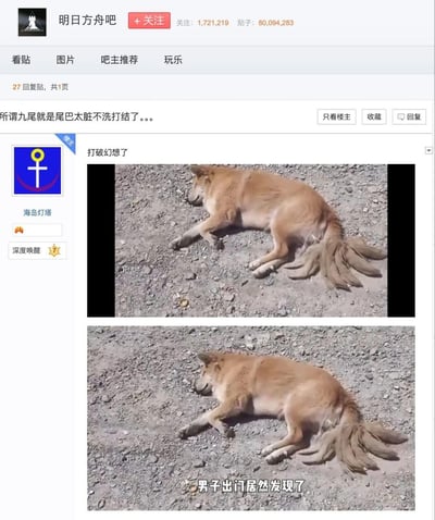这是百度贴吧「明日方舟吧」的用户帖子截图，楼主发布了两张土狗趴在地上的视频截图，图中的土狗尾巴因脏污打结，看起来形似神话中的九尾。楼主配文「所谓九尾就是尾巴太脏不洗打结了。。。」「打破幻想了」，截图下方还有字幕「男子出门居然发现了」，通过现实中动物的搞笑意外形态，调侃神话里的九尾形象，制造反差感带来搞笑效果。