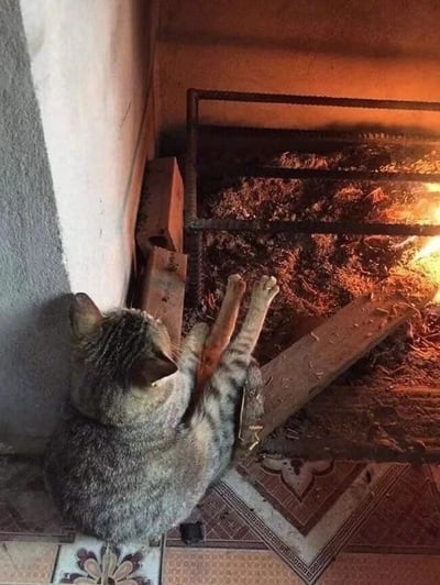 一只虎斑猫正蜷缩在柴火灶前，伸出两只前爪对着燃烧的火焰取暖。猫咪的身体紧贴地面，耳朵竖起，神情十分惬意。灶内火光熊熊，映红了周围的环境，营造出一种温馨又朴实的冬日氛围。