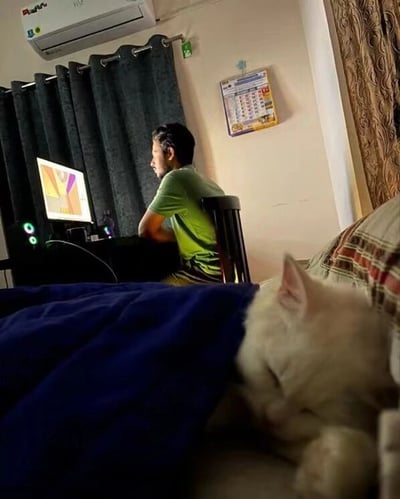 房间内，一名身穿绿色T恤的男子正坐在黑色椅子上，专注地盯着电脑屏幕操作，电脑旁有发光的设备指示灯。背景是深色窗帘和挂在墙上的日历，上方安装着空调。前景中，一只白色猫咪蜷缩在铺着蓝色毯子的床上熟睡，形成鲜明对比：男子的专注忙碌与猫咪的慵懒宁静，营造出温馨又真实的居家深夜场景。