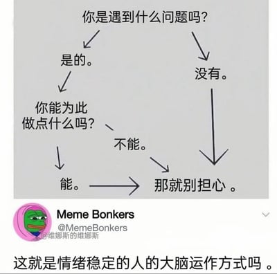 这是一张流程图风格的梗图，展示了情绪稳定的人的大脑运作逻辑。图中以问答分支形式呈现：顶部问题“你是遇到什么问题吗？”向下分出“是的。”和“没有。”两个选项。选择“没有。”会直接指向“那就别担心。”；选择“是的。”则进入下一个问题“你能为此做点什么吗？”，该问题再分出“不能。”和“能。”两个选项，最终两者均指向“那就别担心。”。图片底部有用户评论“这就是情绪稳定的人的大脑运作方式吗。”，左下角带有Pepe the Frog头像及“Meme Bonkers @MemeBonkers”水印。