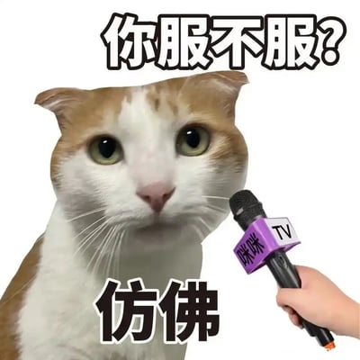 这是一张经过P图改编的搞笑静态表情包，画面主体是一只黄白相间的猫咪，它眼神直视前方，表情严肃又带着懵态，右侧有一只手拿着标有“咪咪TV”的话筒对着它。图片上方配有文字“你服不服？”，下方配有文字“仿佛”，营造出一种猫咪被采访时，用“仿佛”来敷衍回应问题的搞笑效果，适合在聊天时用来表达无奈、敷衍或者调侃的情绪。