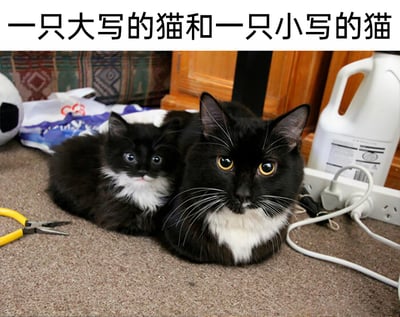 图片展示了两只外观几乎完全一致的黑白奶牛猫，一只体型较大，一只体型小巧，它们并排趴在室内的棕色地毯上。大猫有着明亮的黄色眼睛，神态沉稳平静；小猫的眼睛是蓝灰色，看起来懵懂乖巧，二者的毛色分布、面部特征都高度重合，如同“大写”与“小写”的对应。周围是生活化的居家场景，左侧有一把黄柄钳子，后方可见足球形状物品、包装袋，右侧则有插线板、电线和白色容器。图片上方配文“一只大写的猫和一只小写的猫”，用巧妙的比喻调侃两只猫咪的尺寸差异与相似外观，充满趣味性，展现了宠物的可爱瞬间。