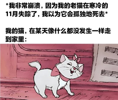 图片上半部分为黑色文字，描述主人因老猫在寒冷11月失踪而崩溃，以为猫咪会孤独死去；下半部分是动画角色白猫Marie（戴着粉色蝴蝶结），面带微笑走进家里的场景，形成“猫咪失踪后突然回家”的幽默反差。