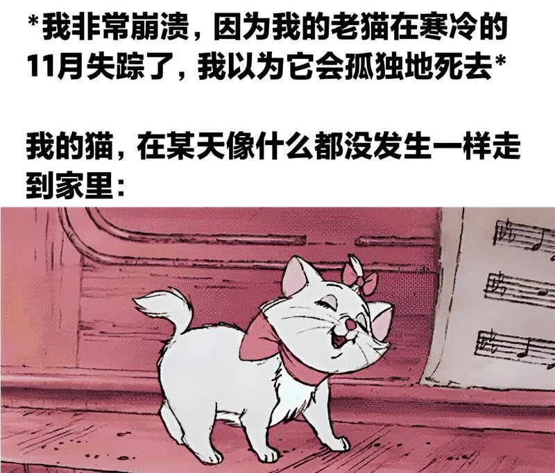 猫儿历险记