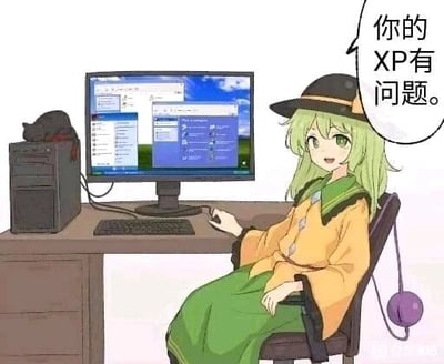这是一张P图改编的静态卡通单图，图中是东方Project系列里的角色古明地恋，她坐在电脑桌前，手放在鼠标上操作着一台装有Windows XP系统的电脑，角色旁边的对白气泡里写着“你的XP有问题。”，这里运用了双关梗，“XP”既指代电脑运行的Windows XP操作系统，也指代网络语境中代表“性癖”的缩写，形成了趣味吐槽的效果，图片右下角带有“QQ看点”的水印。