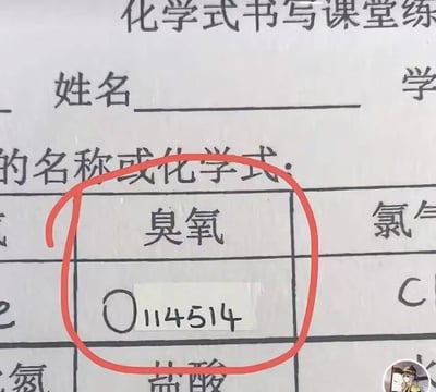 一张化学式书写课堂练习纸的局部截图，上方标题为“化学式书写课堂练习”，包含姓名、学号填写栏。在“臭氧”对应的化学式填写处，学生未填写正确的O₃，而是手写了“O114514”并覆盖小纸片，该区域被红色圆圈重点标记。

其中“114514”是源自网络迷因的数字梗，学生借此进行趣味恶搞，导致答案错误被老师标注。