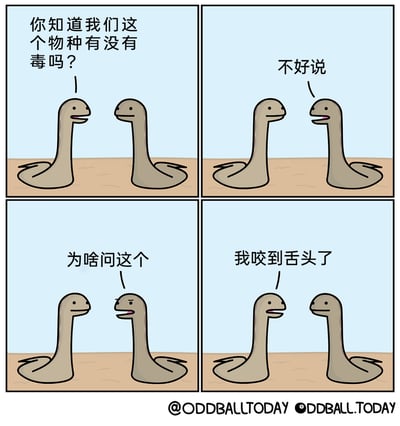 这是一幅由ODDBALLTODAY创作的四格冷笑话漫画，画面主体是两只外形类似长脖子水怪的原创卡通生物，它们趴在浅棕色的地面上，背景是浅蓝色天空。第一格中，左边的怪物带着疑惑的表情向右边的怪物发问：“你知道我们这个物种有没有毒吗？”；第二格中，右边的怪物平静地回复“不好说”；第三格中，右边的怪物皱起眉头，疑惑地追问“为啥问这个”；第四格中，左边的怪物给出了荒诞又搞笑的答案：“我咬到舌头了”。漫画通过这种角色因为咬到舌头，担心自身物种有毒会导致自己中毒的无厘头逻辑，制造出冷幽默的效果，让人忍俊不禁。