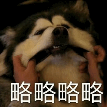 被拉嘴的哈士奇：略略略挑衅脸
