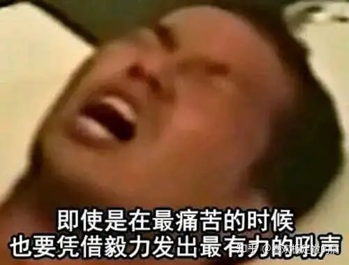 恶臭梗