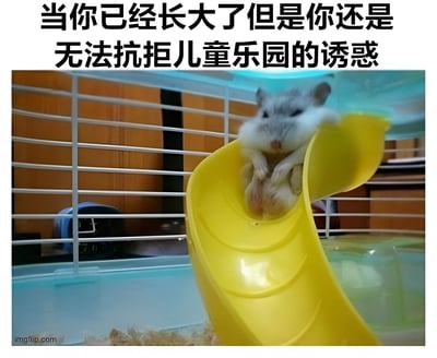 图片上方有文字“当你已经长大了但是你还是无法抗拒儿童乐园的诱惑”，下方是一只龙猫正坐在黄色滑梯顶部，似乎准备滑下来。这张图通过可爱的龙猫形象和幽默的文字，表达了成年人内心依然保留着对童趣事物的喜爱和向往。