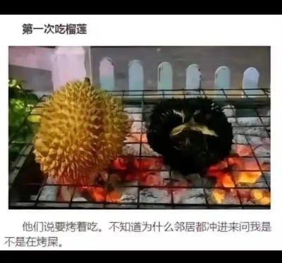 这张图展示了一个人第一次吃榴莲，采用了烤制的方法。图片中央是一个生榴莲和一个已经被烤到全黑的榴莲，被放在炭火烧烤架上。配文自嘲式地写道“他们说要烤着吃。不知道为什么邻居都冲进来问我是不是在烤尿。”由于榴莲本身带有特殊的气味，烤制后气味更加浓烈，因此引发了邻居的误会和关心，产生了幽默效果。

**谐音与双关说明：**末尾用“烤尿”梗调侃榴莲气味，实际是指榴莲味道重，容易让人联想到难闻的气味，形成生活化的幽默。