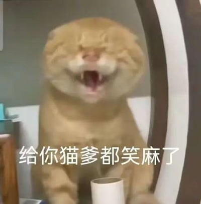这张梗图采用了网络爆红的“猫爹”（耄耋）形象，展现了一只橘猫露出大笑表情、耳朵平贴（俗称‘飞机耳’），同时配有“给你猫爹都笑麻了”的文字，表达一种被某事逗乐至极的情绪。图中猫咪的圆头和炸毛造型，与“猫爹”的网络形象高度一致，既可爱又具幽默冲击力。此表情包适合用来调侃别人发言或行为极具“迷惑性”或过于搞笑，夸张效果拉满。

**谐音/双关说明：**
“耄耋”为“猫爹”的谐音，图中猫咪即对应网络梗“猫爹”，具有明显的谐音梗和网络文化味道。