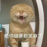 耄耋（猫爹）
